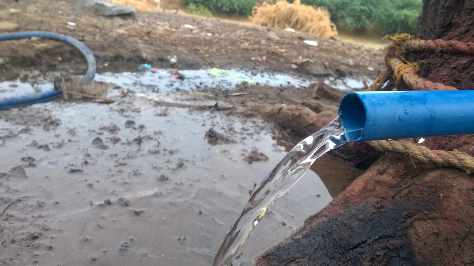 Descubre las principales causas de la contaminación del suelo