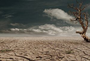 Paisaje árido con suelo agrietado y un árbol seco que ilustra 5 consejos prevenir erosion suelo efectiva.