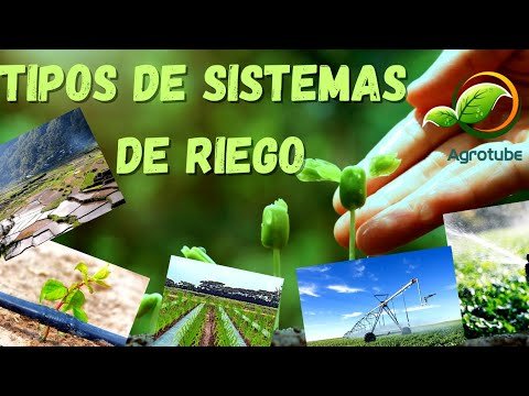 Automatización en Sistemas de Riego: Eficiencia y Ahorro de Agua