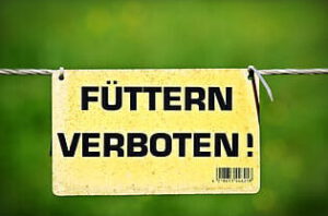 Cartel amarillo colgado en un alambre con mensaje de prohibición de alimentar, advertencia ambiental para proteger la fauna.