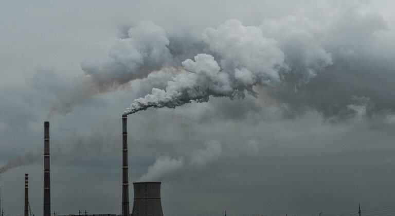 Contaminación del aire: ¿Cómo daña tu salud?