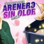 ¿Dónde se tira la arena de gato? ¡Descubre la mejor manera de deshacerte de ella!