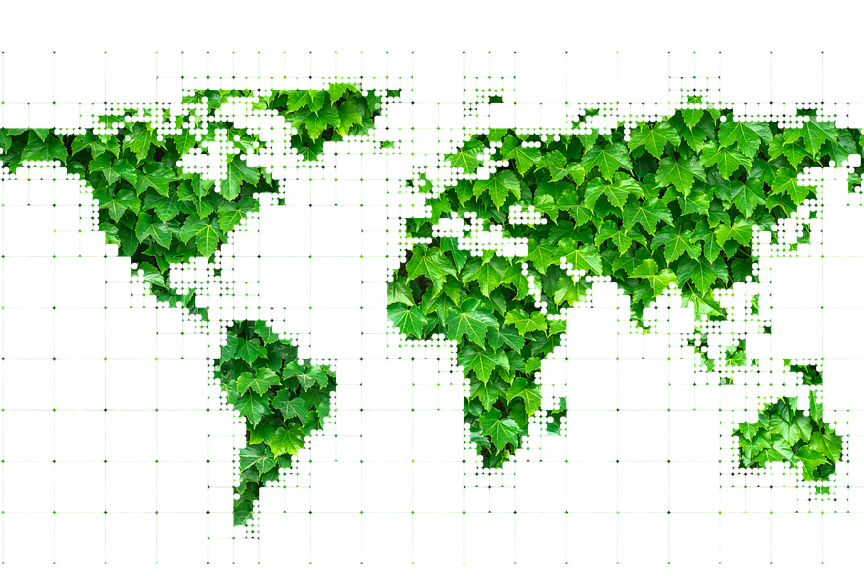 biomasa 1