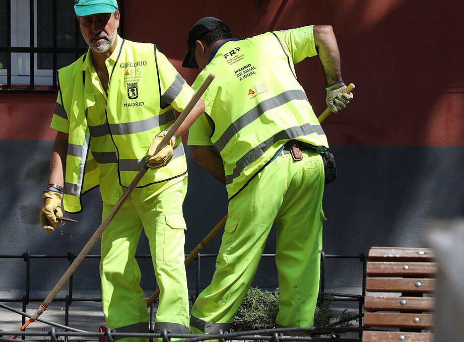 Dos operarios con chalecos reflectantes realizando colaboracion verde en jardinería urbana