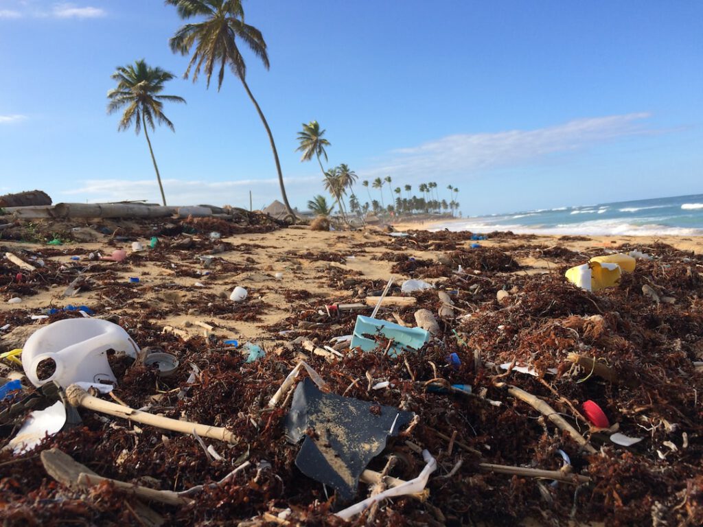 Playa con palmeras y arena cubierta de residuos plásticos y algas que ejemplifica como medir exito reduccion residuos