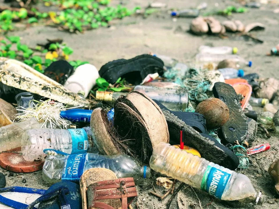 Agua contaminada con químicos, peces muertos flotando y plantas marchitas en las orillas 