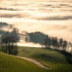 Conservación de cuencas hidrográficas: clave para combatir el cambio climático