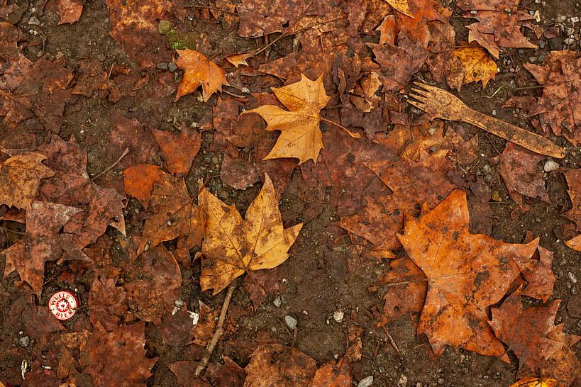 Hojas secas y restos de basura en la tierra que muestran contaminacion del suelo.
