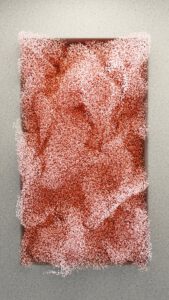 Superficie rectangular cubierta de pequeñas partículas rojizas y rosadas sobre fondo gris, evocando semillas y suelo para cultivos de cobertura vs practicas agricolas sostenibles