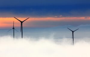 Turbinas eólicas emergiendo entre niebla al amanecer descubre impacto ambiental parques eolicos