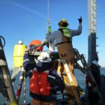Descubre la importancia de los humedales en el ecosistema