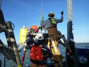descubre importancia humedales ecosistema