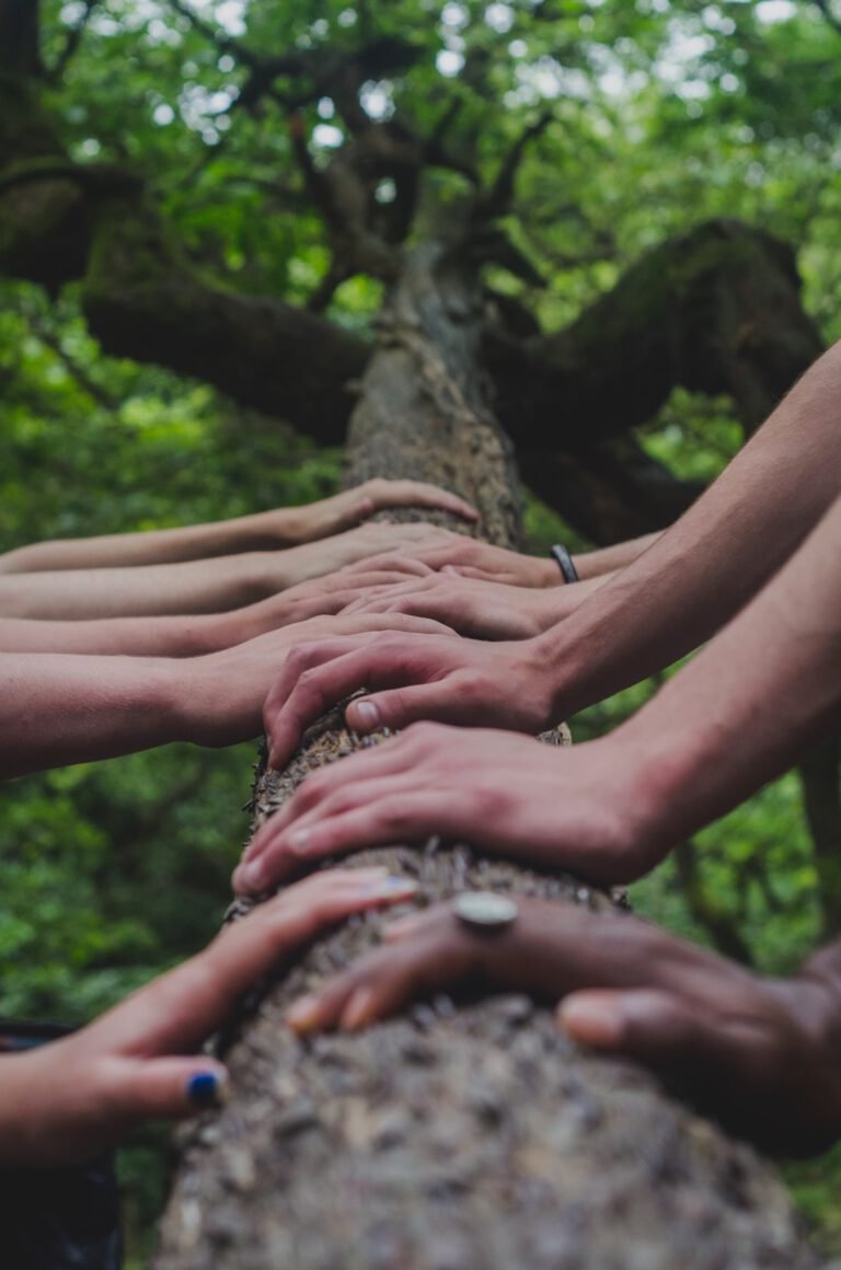 Descubre cómo medir el éxito y sostenibilidad de un sistema agroforestal