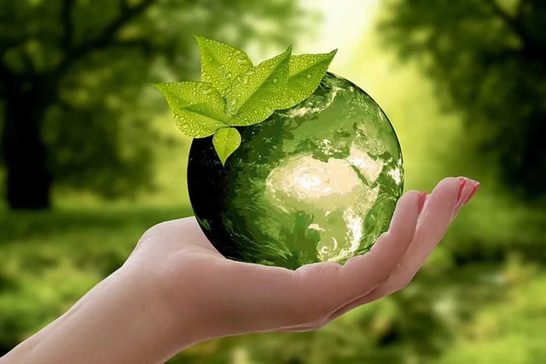 Cuales son las mejores practicas de reciclaje sostenible Imagen de una persona sosteniendo una bolsa de reciclaje con diferentes materiales, rodeada de plantas y árboles