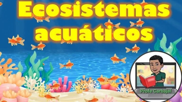 Impacto del reciclaje en la conservación de los ecosistemas acuáticos