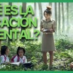 El papel de la educación ambiental en la gestión del reciclaje