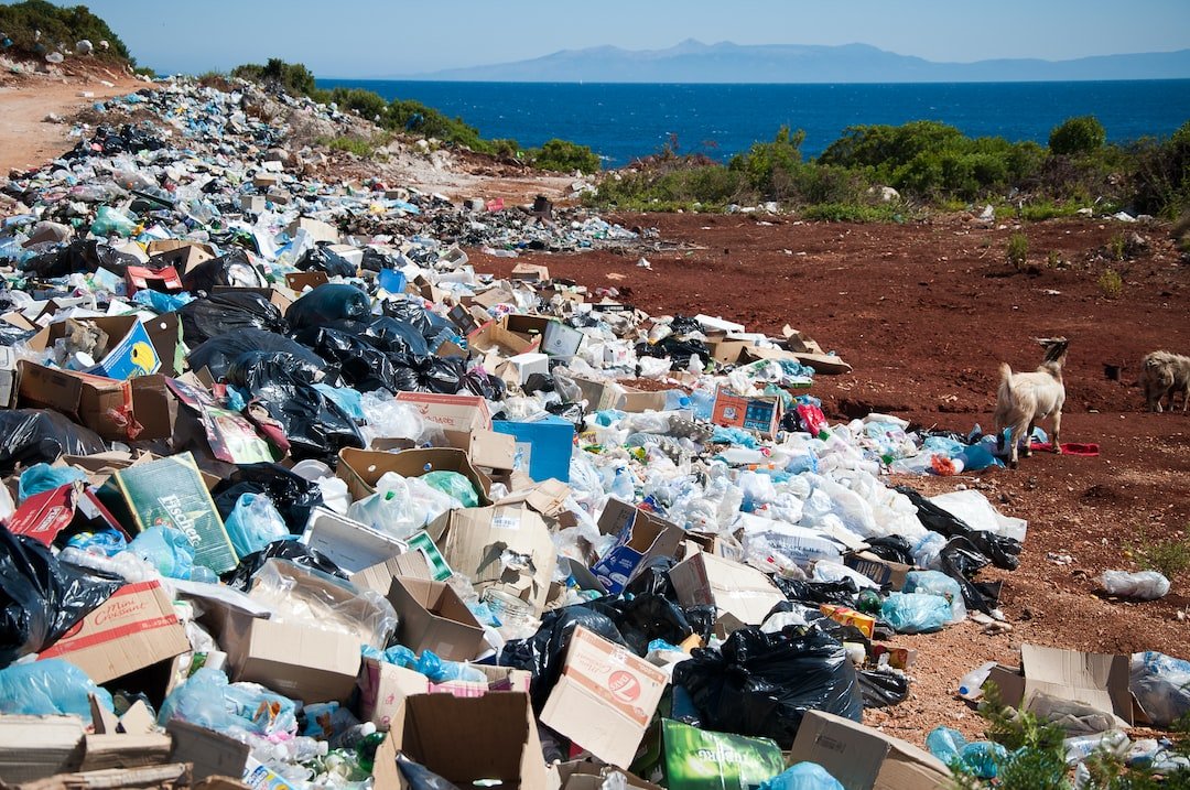 Cuáles son los efectos de la contaminación por residuos sólidos en la salud humana