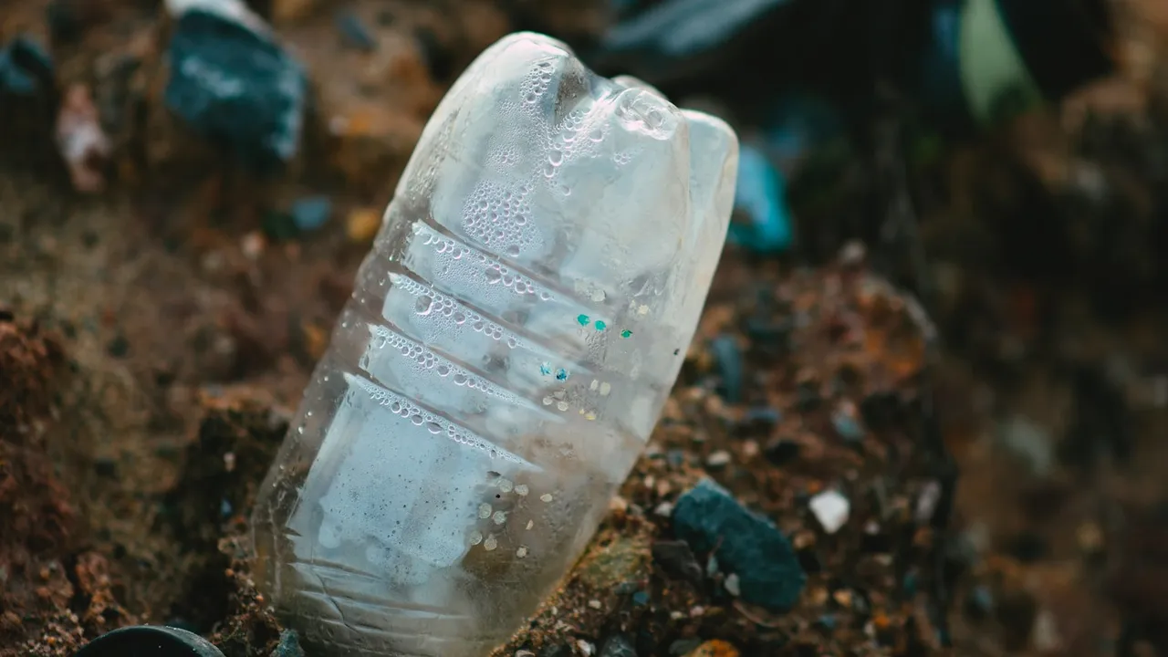 Un bosque frondoso y vibrante rodeado de contenedores de reciclaje llenos de papel y cartón reciclados 