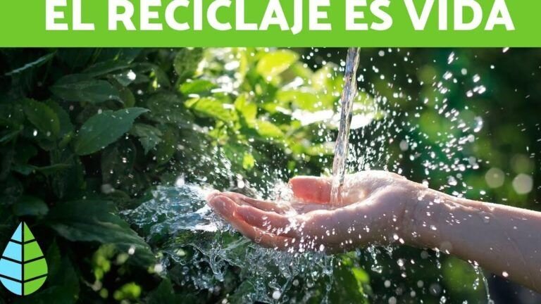 Cómo el reciclaje promueve la concienciación sobre la sostenibilidad