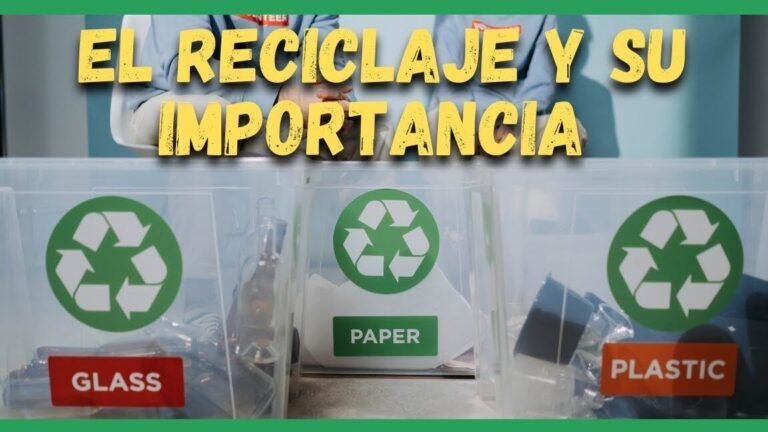 Cómo el reciclaje afecta la conservación de los humedales