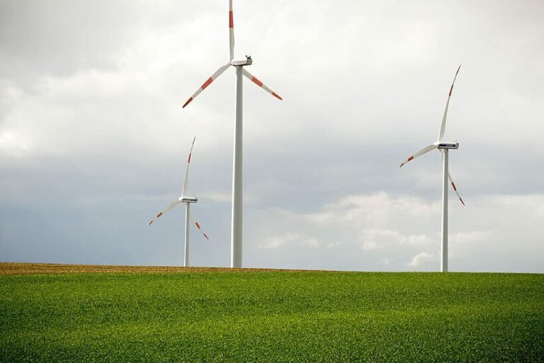 Conectando la energía del viento: Cómo conectar un parque eólico a la red eléctrica