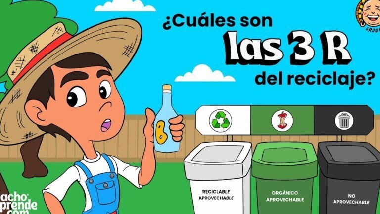 Estrategias comunes de reutilización en el reciclaje: ¿Cuáles son?