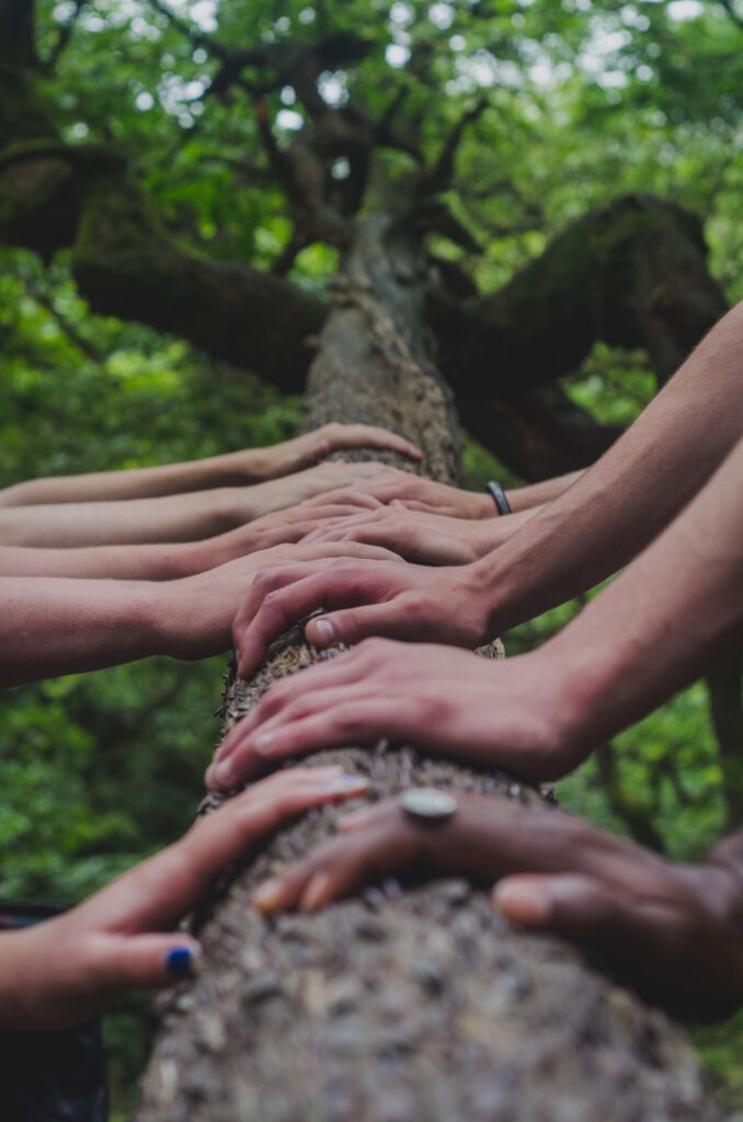 Manos alineadas sobre un tronco en el bosque que representan factores ecosistemas terrestres marinos