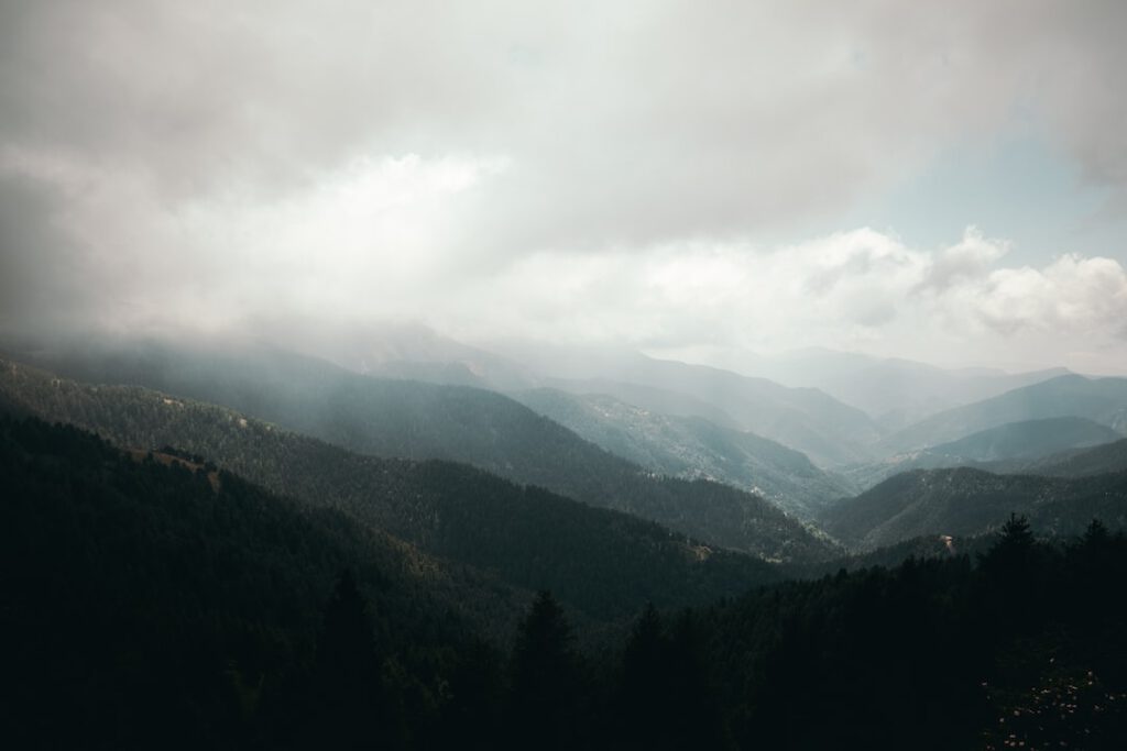 Valles y montañas cubiertos de bosque y niebla que evocan la necesidad de financiacion restauracion humedales riberas