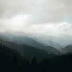 Financiación de restauración de humedales y riberas: todo lo que necesitas saber