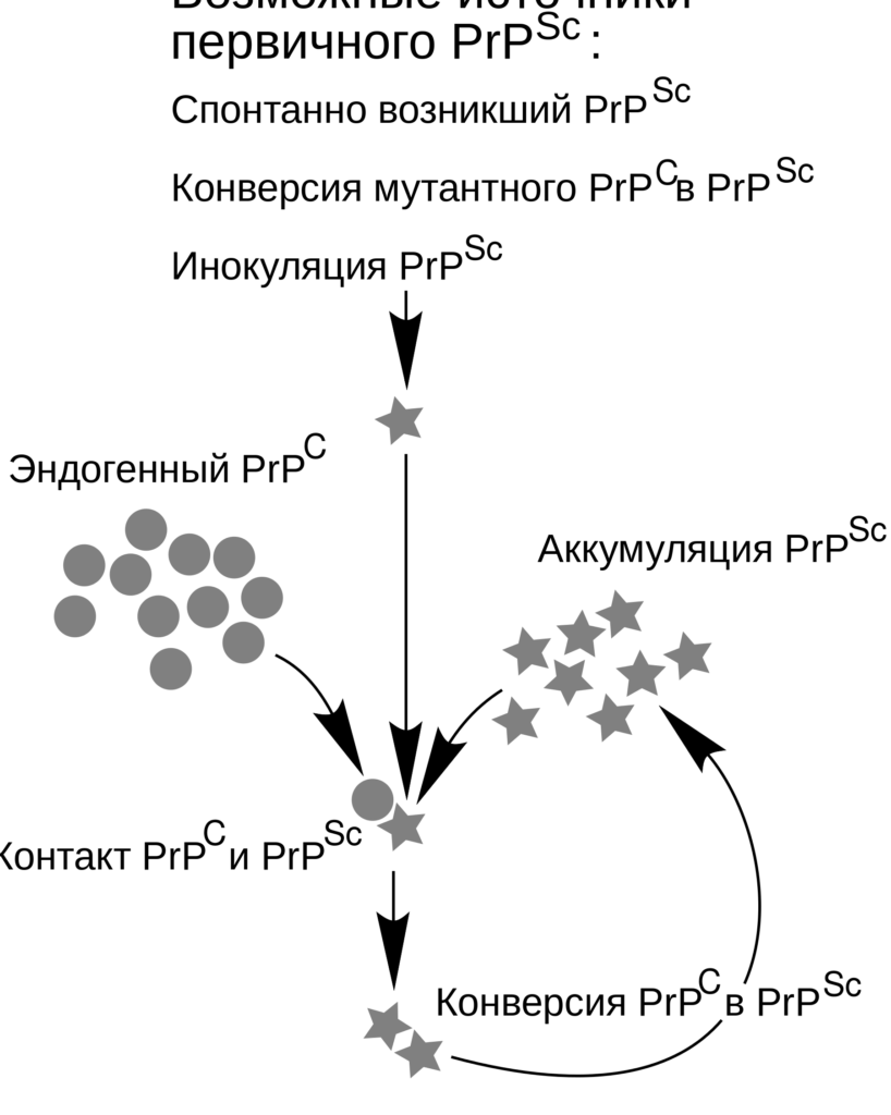 Ilustración abstracta de agrupaciones de círculos y estrellas para genetica practica.