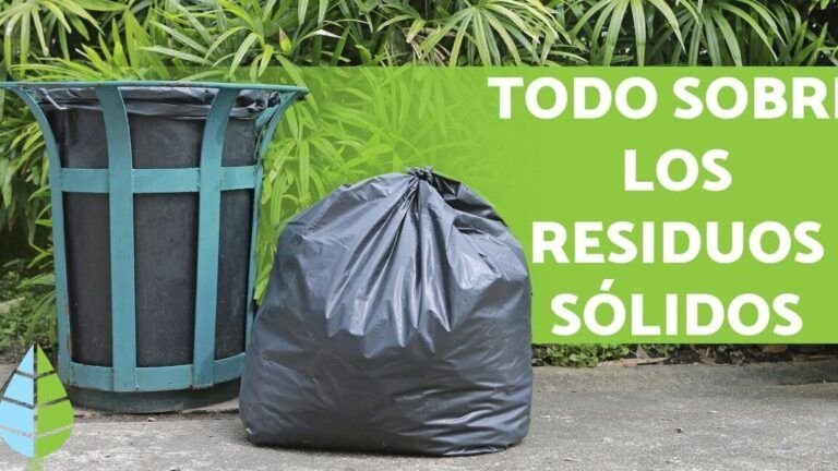 Consejos para involucrar a los jóvenes en la gestión del reciclaje