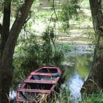 Monitoreo y evaluación de la restauración de humedales y zonas ribereñas: guía práctica