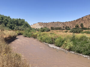 Vista de humedaless y rio de aguas turbias fluyendo entre vegetación ribereña y colinas bajo cielo azul.