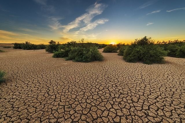 impacto deforestacion biodiversidad