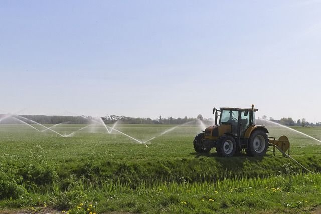 Investigaciones sobre cultivos de cobertura y su impacto en la agricultura: lo que necesitas saber