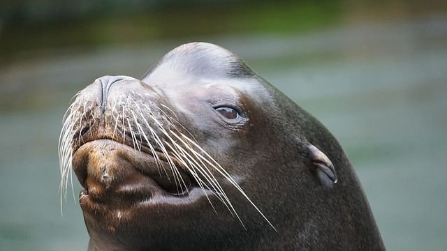 La clave para una agricultura sostenible: promover la biodiversidad