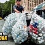 Reciclaje de latas de aluminio: cuida el medio ambiente