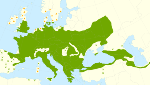 Mapa interactivo 1 que muestra áreas sombreadas en verde y marcas simbólicas sobre un mapa de Europa y zonas adyacentes.