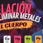 Reciclaje para reducir contaminación del suelo por metales pesados