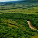 El papel de las ONG en la conservación de cuencas hidrográficas: descubre su importancia