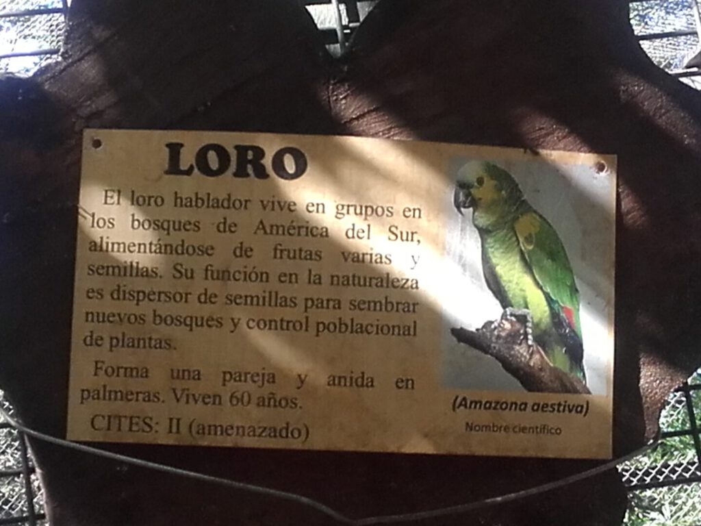 Placa informativa con la palabra LORO, foto de un loro y mención de naturaleza amenazada 1.