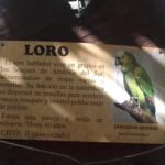 5 amenazas que ponen en peligro las áreas protegidas