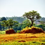 Los impactantes efectos de los eventos climáticos en la salud humana