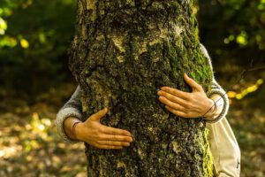 Manos abrazando un árbol cubierto de musgo en un bosque que evoca naturaleza diversa 1.