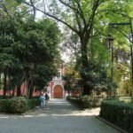 Selección de especies para restauración de hábitats degradados: guía completa