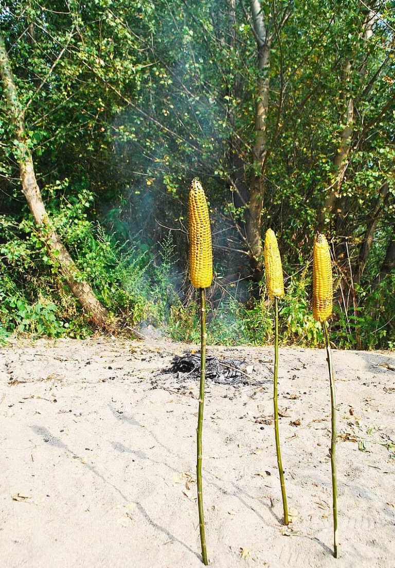 5 consejos para prevenir la contaminación del agua en la agricultura