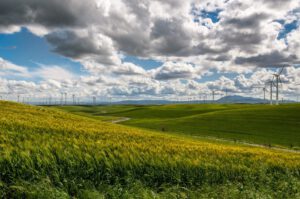 Colinas verdes onduladas con turbinas eólicas bajo un cielo nublado, escena de naturaleza sostenible 2.