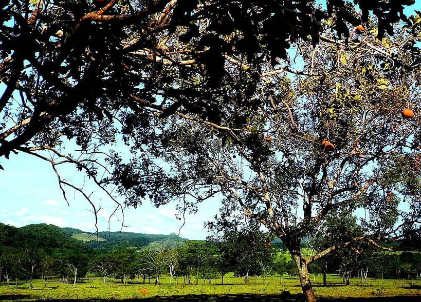naturaleza sostenible 3