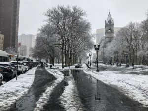 Camino húmedo y árboles cubiertos de nieve en naturaleza urbana 1.