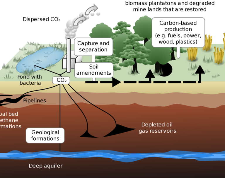 Cambio climático y acidificación del océano: ¿qué relación tienen?